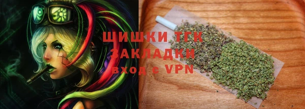 гидра Михайловск