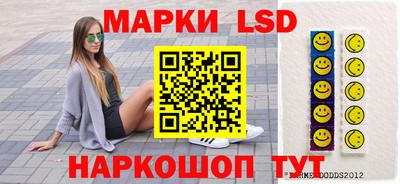Альфа ПВП Дубна