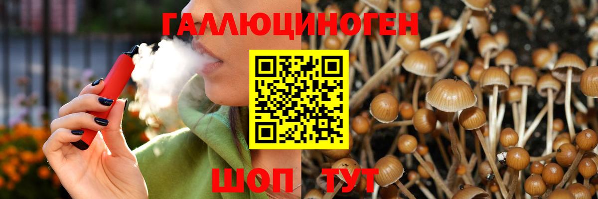 Псилоцибиновые грибы Magic Shrooms Майский