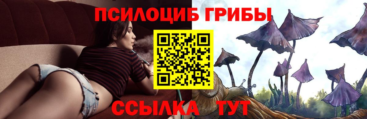Майский  Псилоцибиновые грибы Magic Shrooms  Вход с VPN  Галлюциногенные грибы прущие грибы 